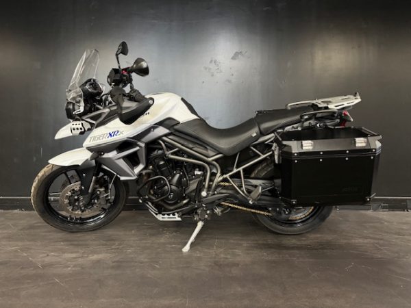 TRIUMPH TIGER 800 XRX LOW ( bridable A2) – Image 2
