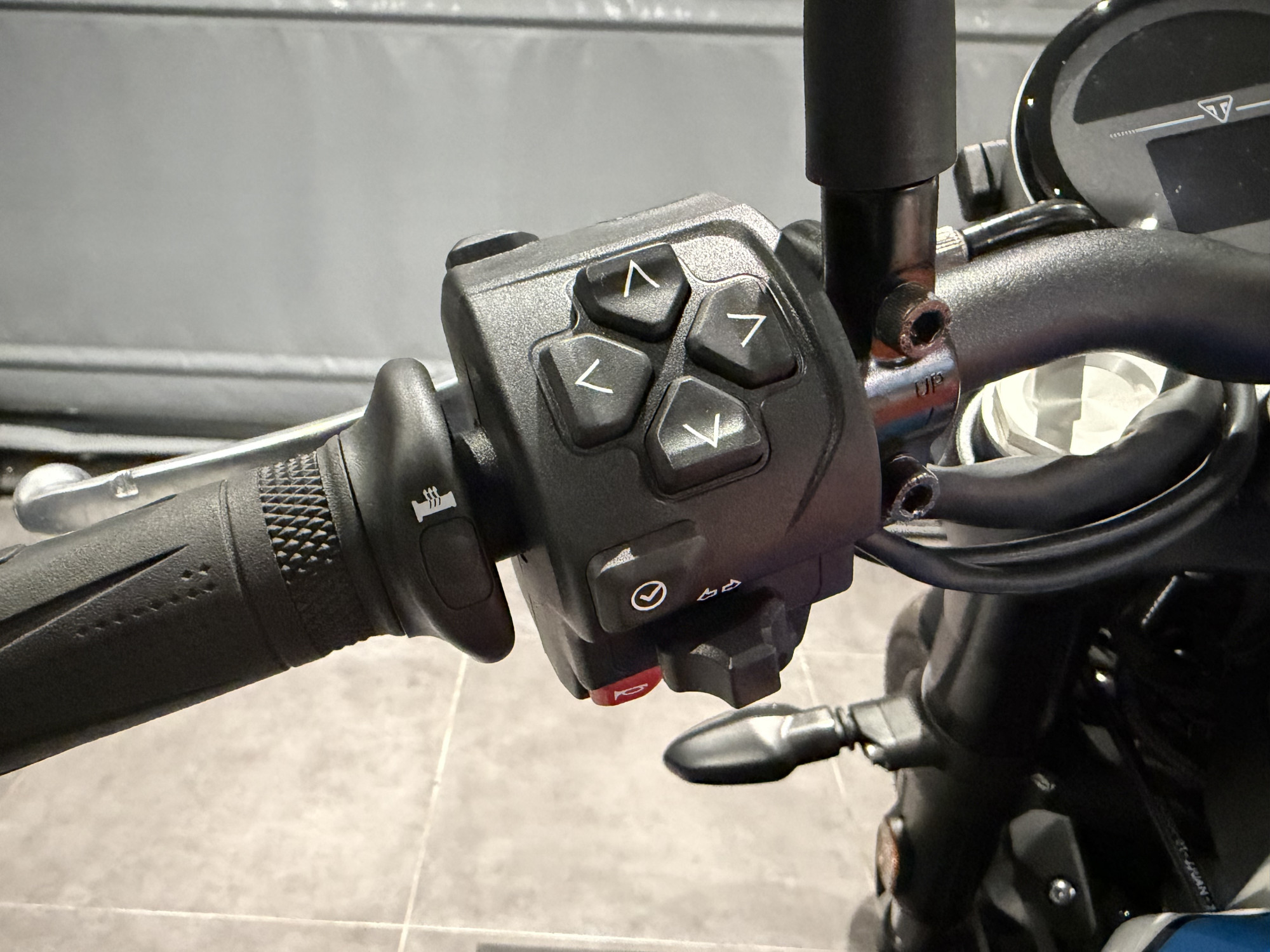 TRIUMPH SPEED TWIN 900 - BRIDABLE A2 – Image 18