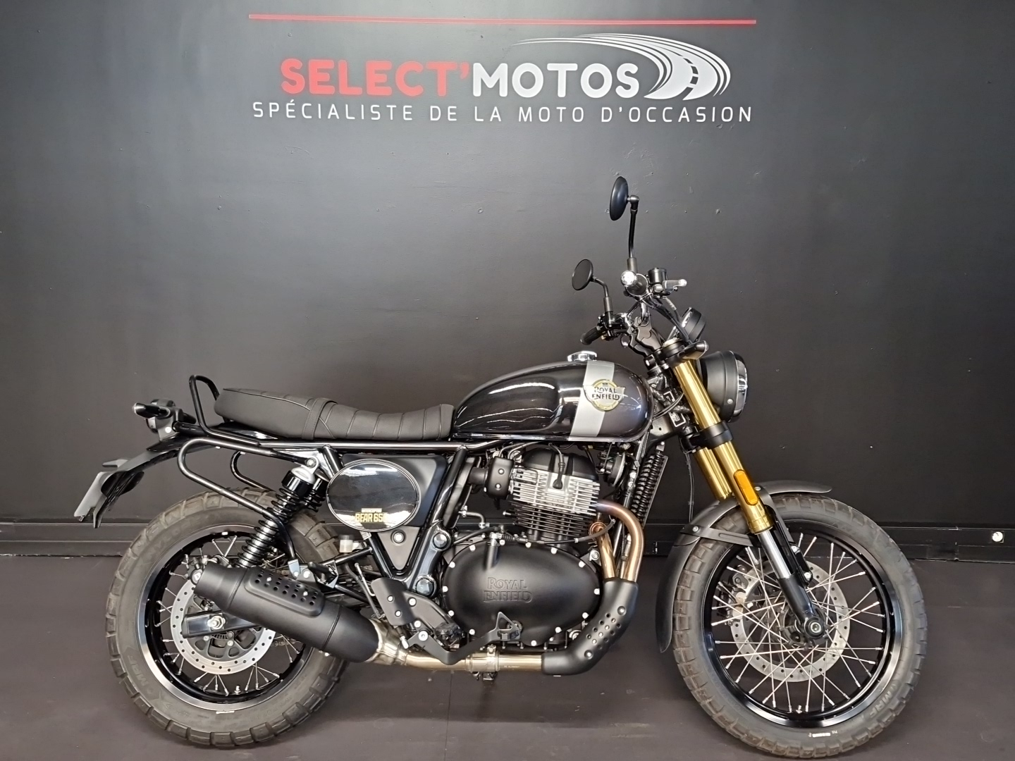 ROYAL ENFIELD BEAR 650