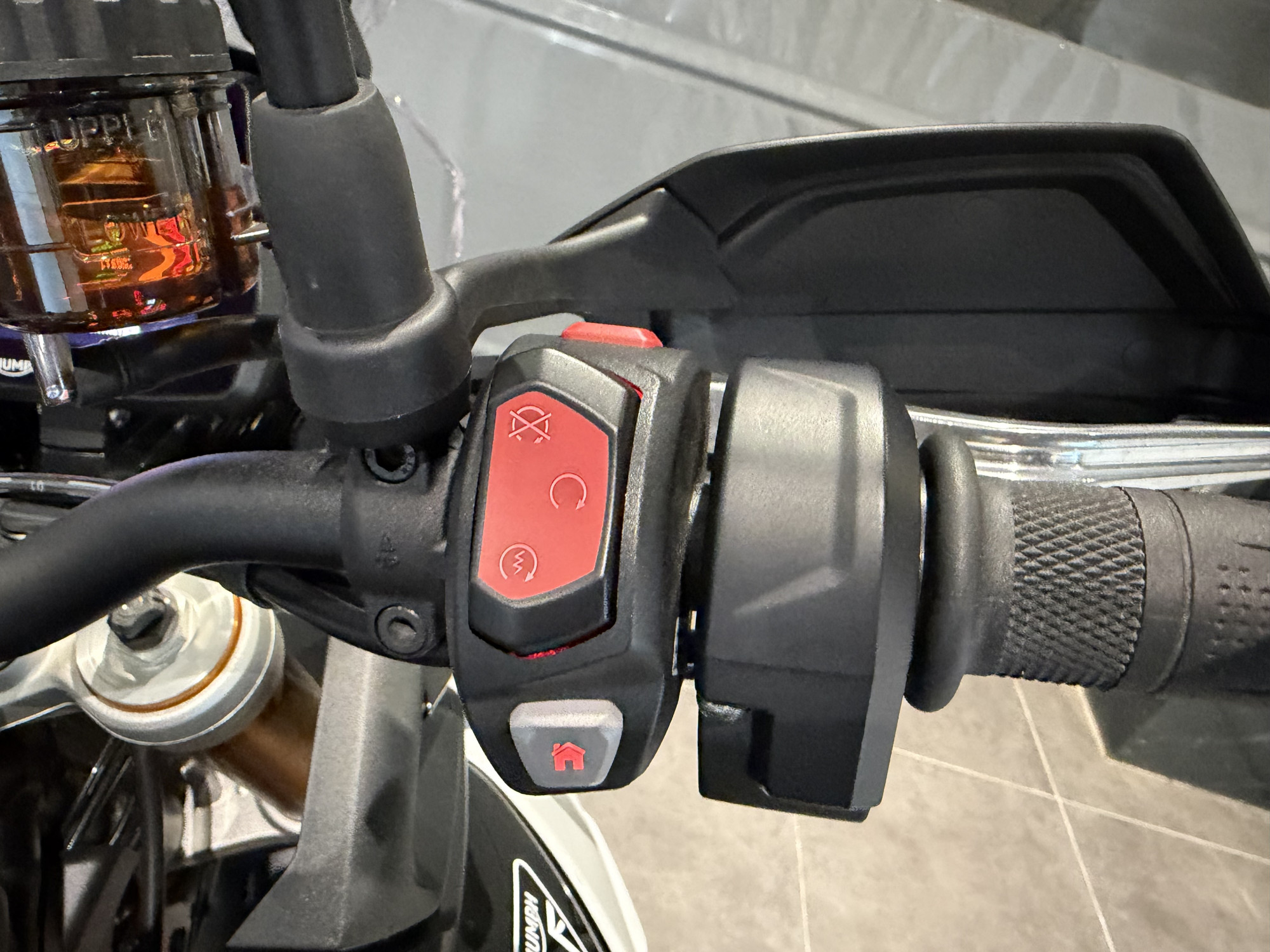 TRIUMPH TIGER 900 RALLY PRO – Image 10