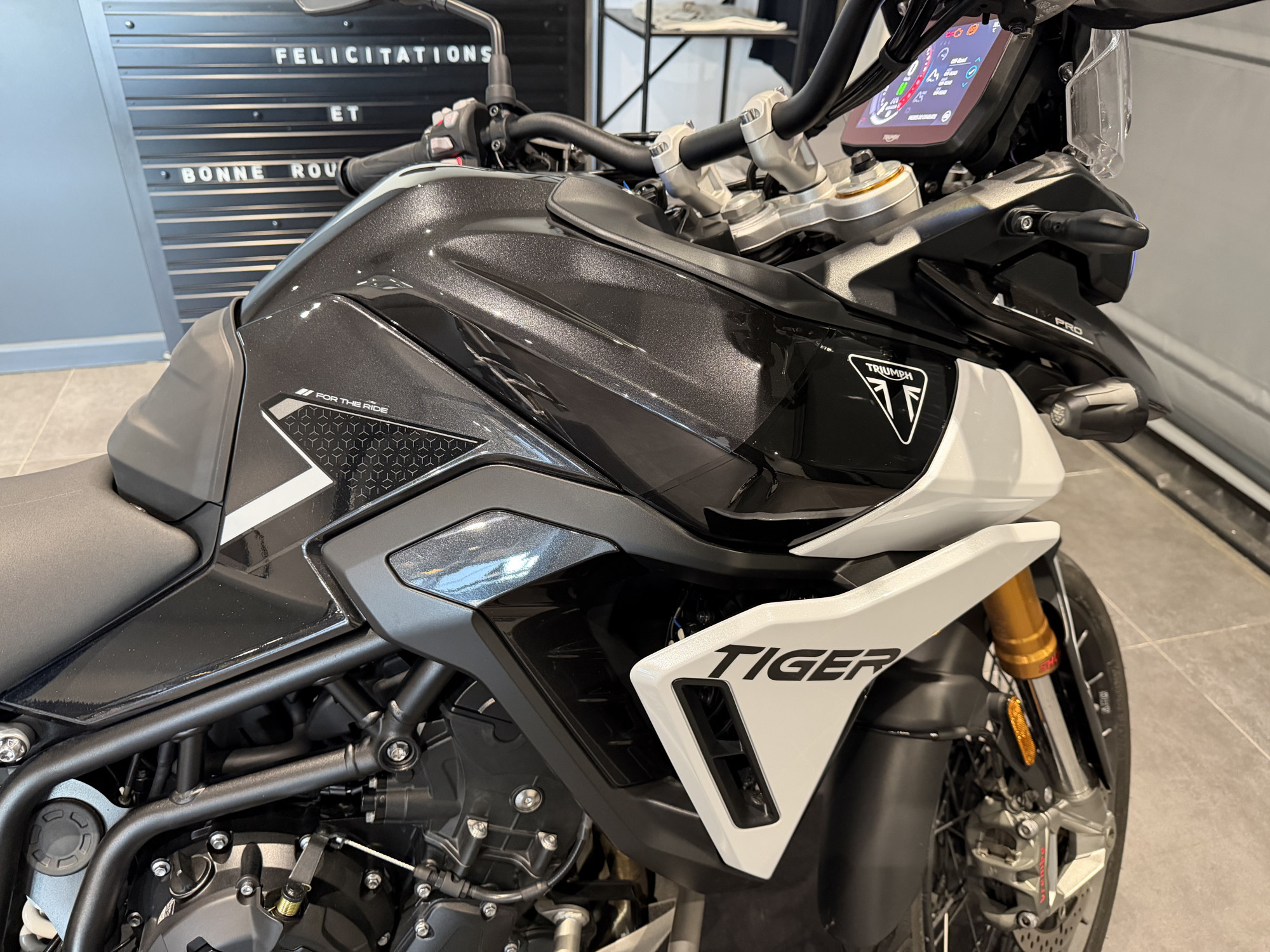 TRIUMPH TIGER 900 RALLY PRO – Image 12