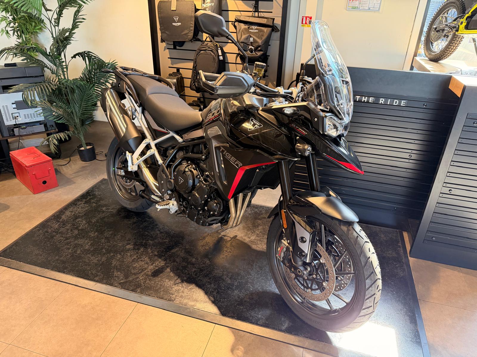 TRIUMPH Tiger 900 GT Pro A2