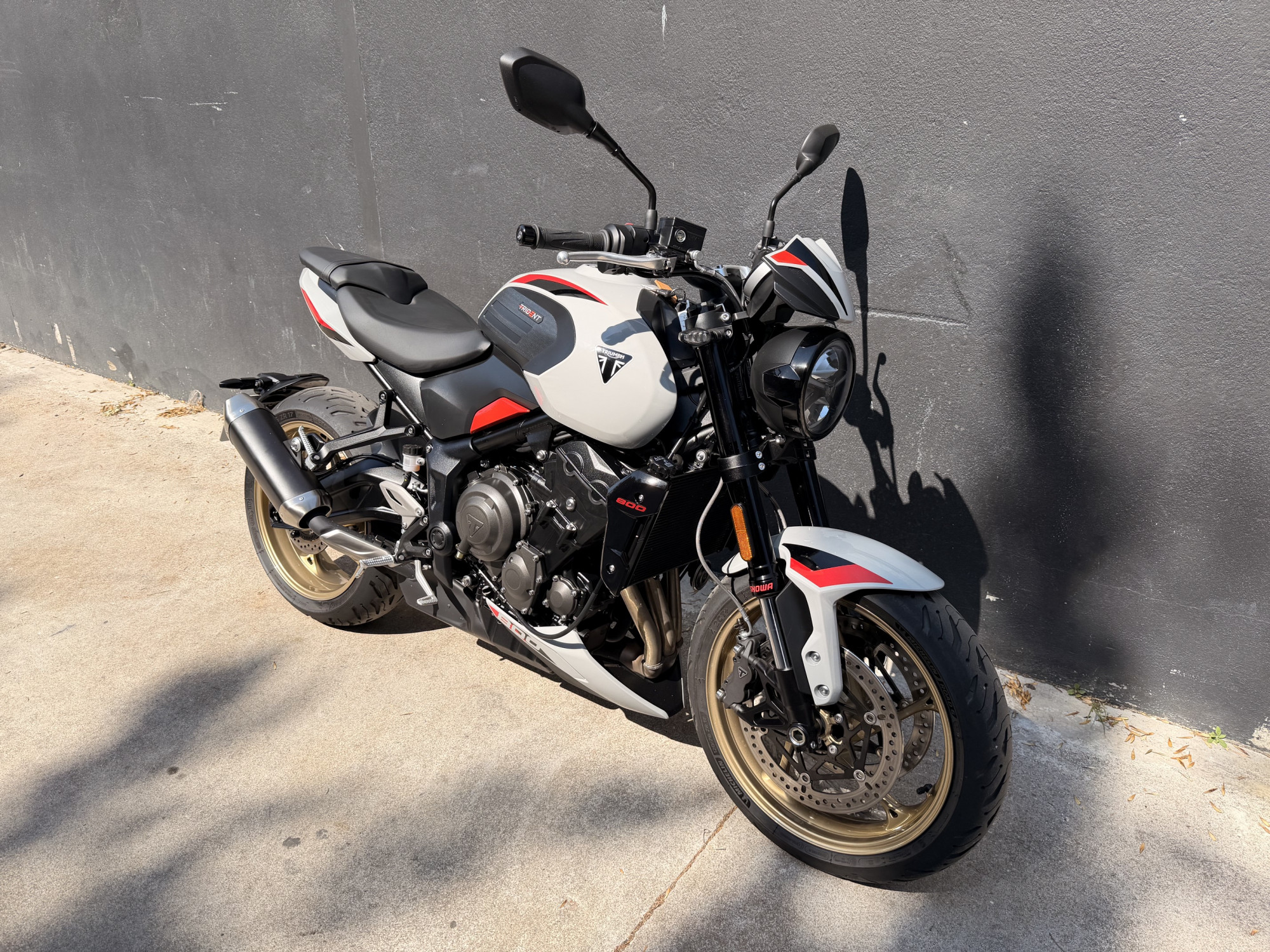 TRIUMPH TRIDENT 800