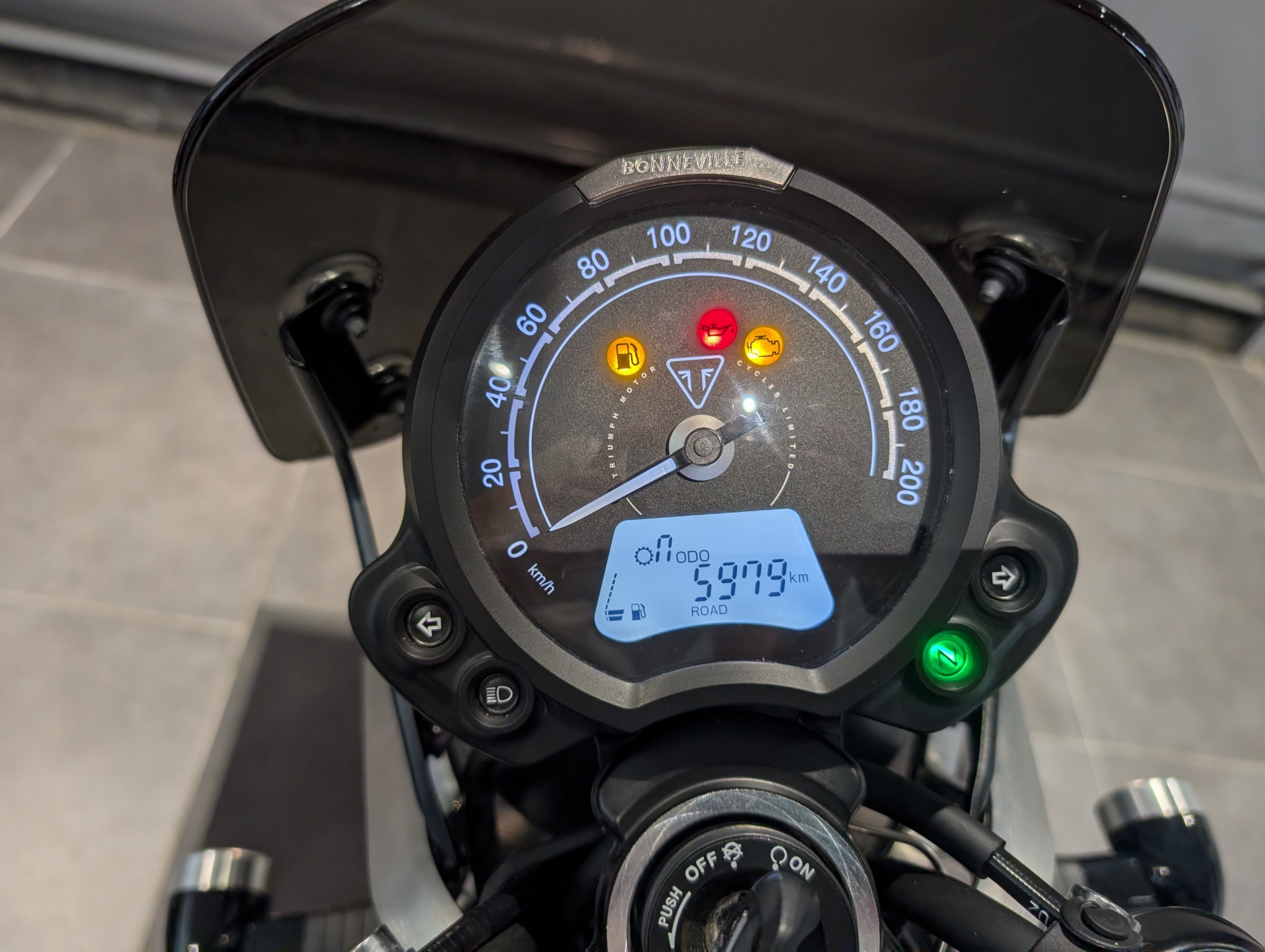 TRIUMPH SPEED TWIN 900 A2 - DEBRIDABLE – Image 8